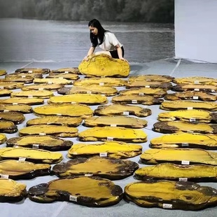 整块金丝楠木茶盘实木树根根雕茶台功夫茶具天然家用茶托办公茶海