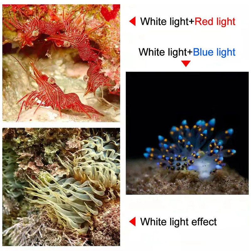 Professional LED Diving Flashlight 18000LM COB Tactical Torc