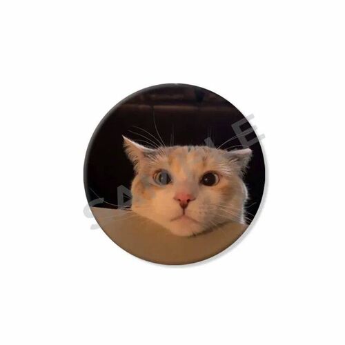 50mm Tinplate Soft Button Pins Funny Cat Meme Round Brooch