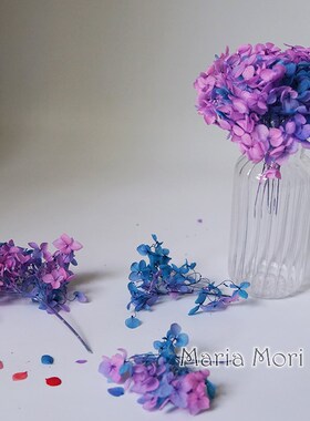 Colorful Preserved Hydrangea Home Decoration Wedding Decorat