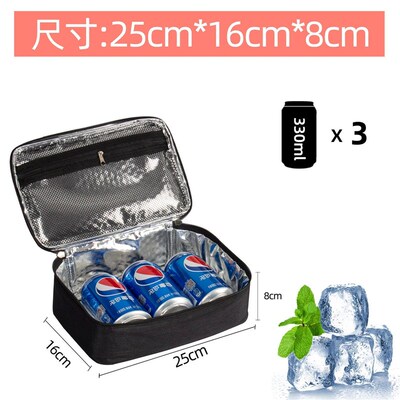 Square Inulated Lunch Bag for Women Thermal Cooler Bento Box