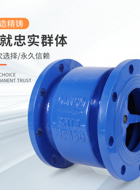 HC1X不锈钢芯法兰消声止回立卧式单向逆止水泵DN51001