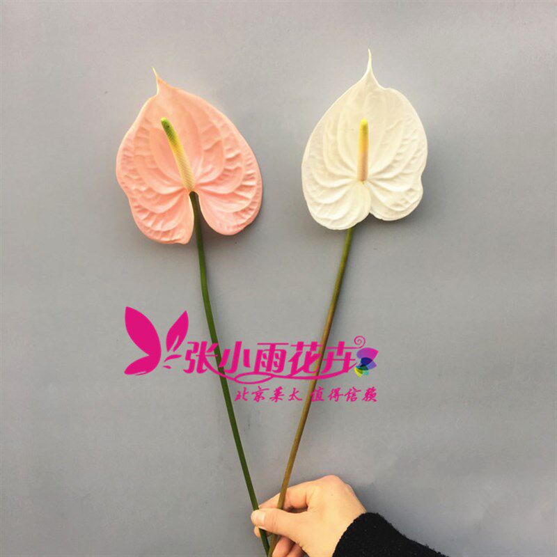 鲜花配花点缀 火鹤花鲜花 火鹤花安祖花 花艺插花观赏优美大方素