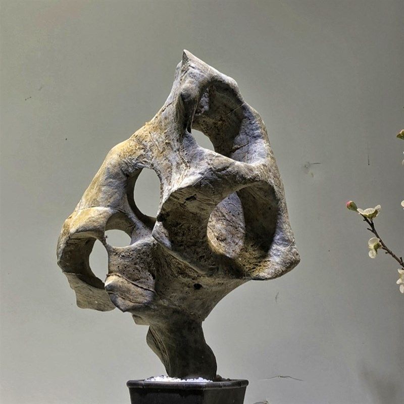 太湖石 假山盆景石头小摆件鱼缸造景附石观赏石天然石材原石抱石,家居饰品,装饰摆件,淘宝优惠券,粉丝福利购,淘宝优惠卷