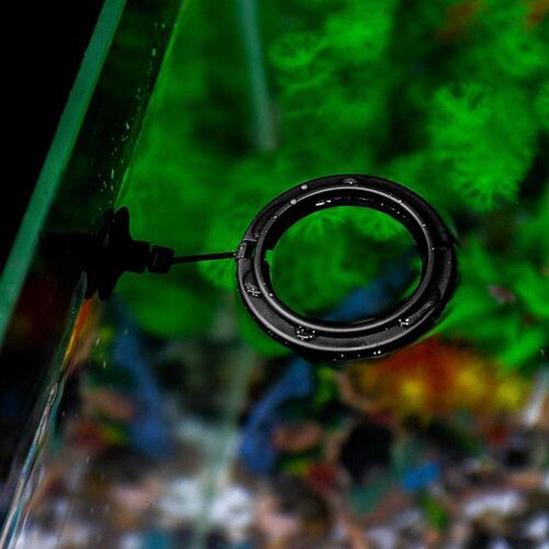 Fish Feeding Aquarium Fish Tank Ring Feeder Station Floating