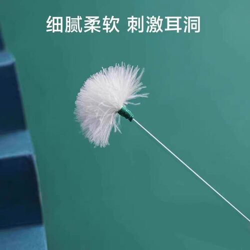 Professional Ear Cleaning Tool Set, including ear picks, dig