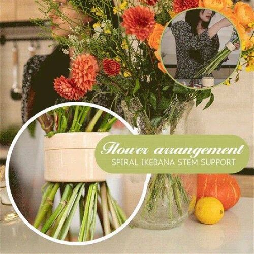 Spiral Ikebana Stem Holder For Vase Flower Arrangement