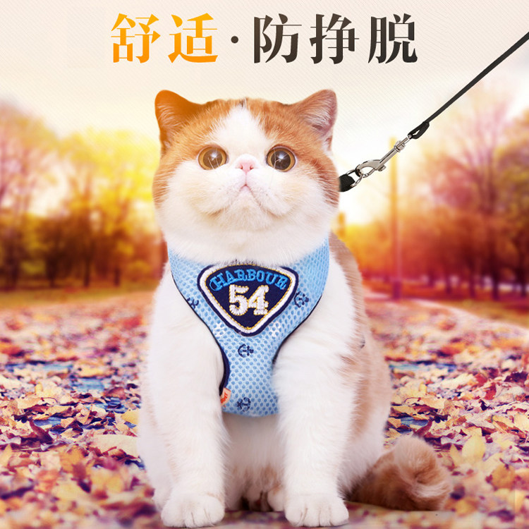 亚当宠物 猫专用牵引绳 遛猫绳猫链子防挣脱逃脱背心式溜猫绳,宠物/宠物食品及用品,狗牵引绳,淘宝优惠券,粉丝福利购,淘宝优惠卷
