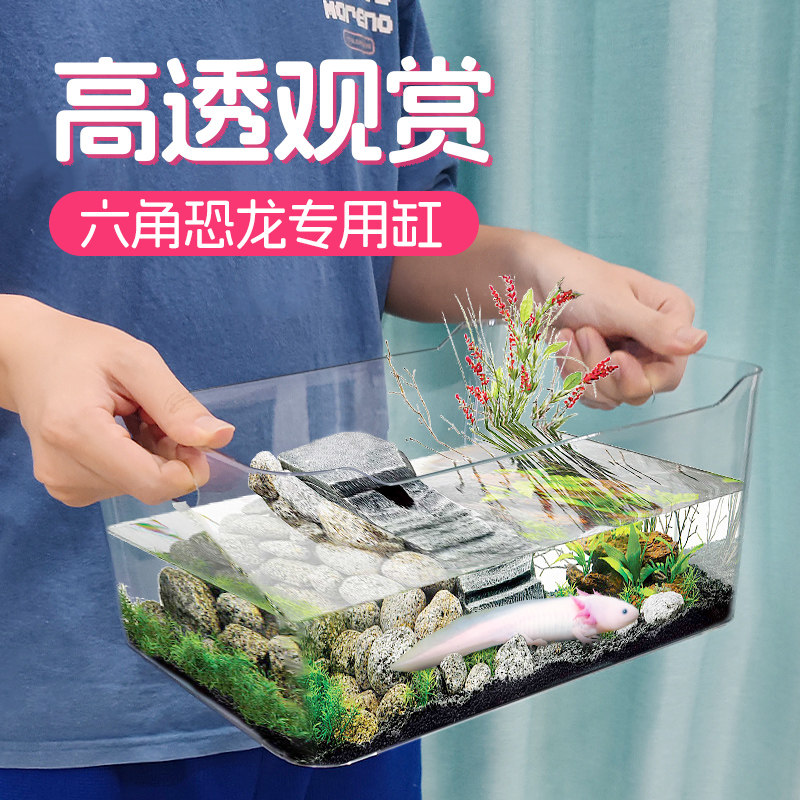 手提六角恐龙专用缸桌面缸水陆缸办公室鱼缸小型乌龟饲养缸乌龟缸,宠物/宠物食品及用品,桌面缸,淘宝优惠券,粉丝福利购,淘宝优惠卷