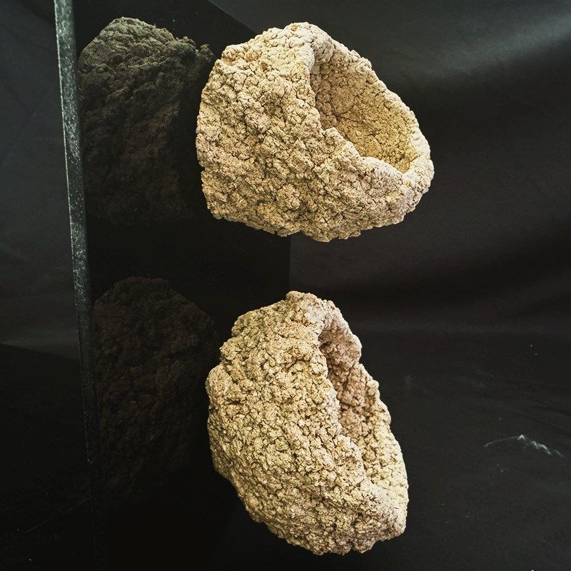 超强磁吸海葵窝海缸强磁铁玻璃壁挂奶嘴窝支架悬浮空地毯鱼缸锐焦,宠物/宠物食品及用品,造景/装饰,淘宝优惠券,粉丝福利购,淘宝优惠卷