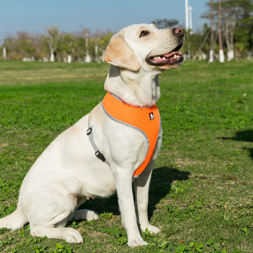 Truelove狗狗牵引绳背心式宠物胸背带猫咪遛狗小型犬中型大型用品