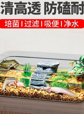 手提六角恐龙鱼专用缸家用乌龟饲养缸透明桌面斗金鱼缸办公室小型