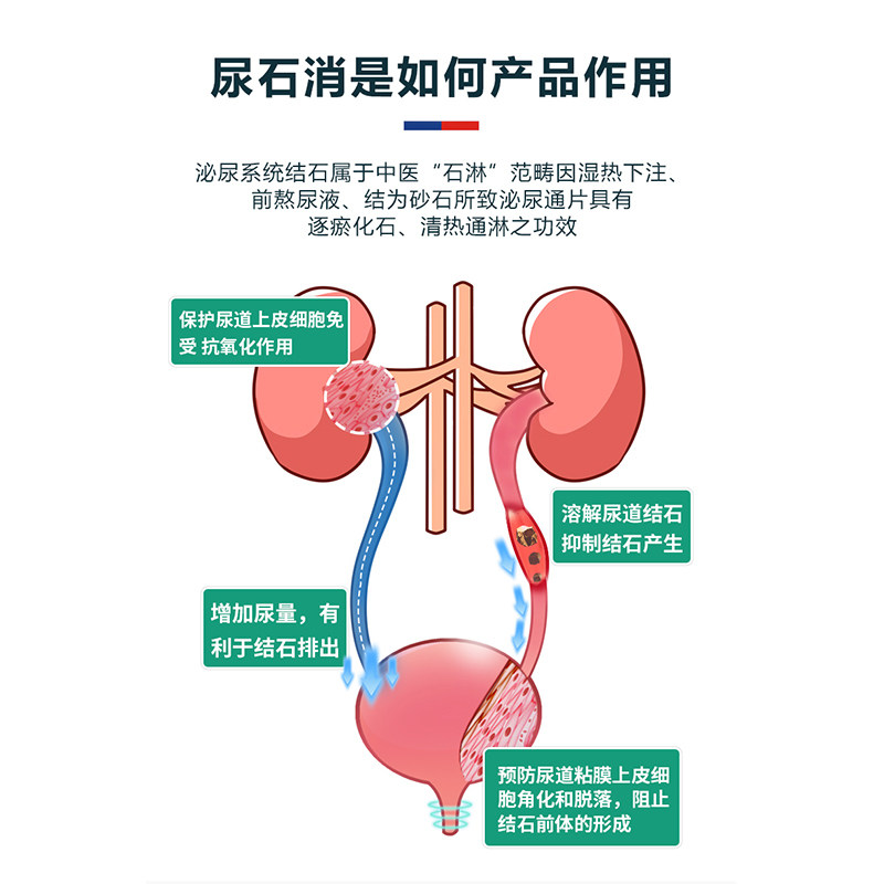 狗狗猫咪宠物排结石猫狗尿石清消石康狗膀胱结石猫咪尿结晶化结石,宠物/宠物食品及用品,猫特色保健品,淘宝优惠券,粉丝福利购,淘宝优惠卷