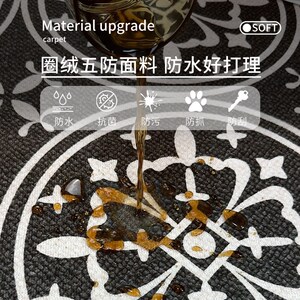 秋冬法风地毯客厅2024新款轻奢高级卧室房间冬天冬季沙发地垫加厚