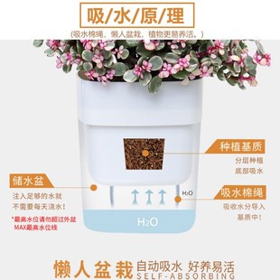 高透轻奢高级感绿萝专用塑料花盆桌面高端家用红掌水培器皿种植盆