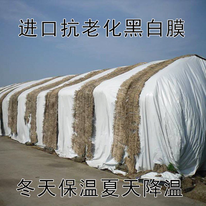 整卷黑白膜养殖棚膜养鸡保温棚食用菌专用膜茂金属大棚膜