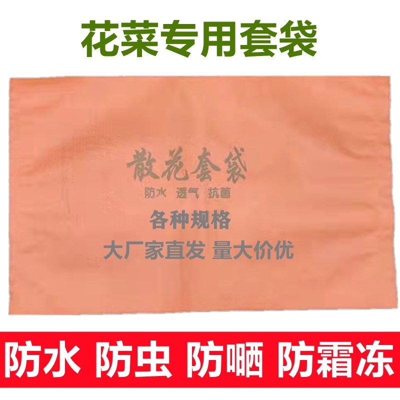 花菜套袋 专用双层防水防虫防晒防霜冻散花松花纸袋加厚菜花袋子,鲜花速递/花卉仿真/绿植园艺,其它园艺用品,淘宝优惠券,粉丝福利购,淘宝优惠卷