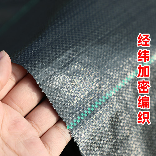 防草布除草布加厚抗老化果园果树遮草盖草布农用园艺地布透气保湿