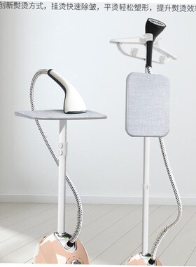 electric compact iron steam soleplate clothes steamer 电熨斗