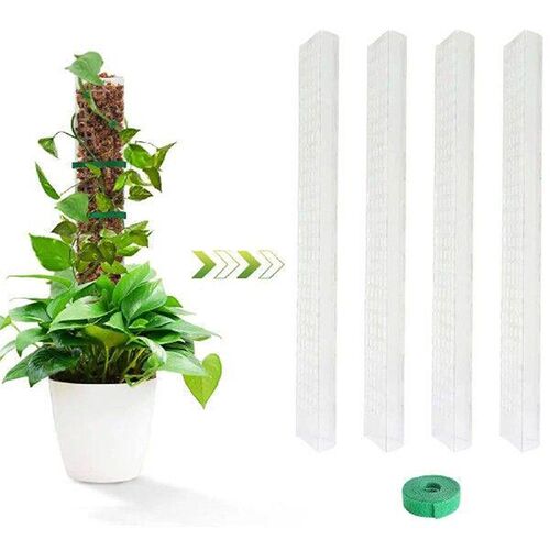 Plant Climbing Frame Moss Stick Plants Supporting Stick