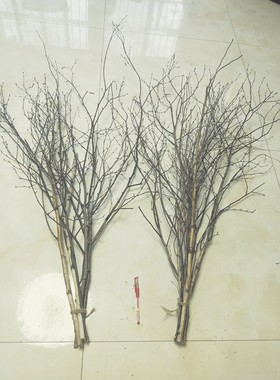 白桦木树干木段原木摆件枯树枝艺术造型树段木棍花艺DIY手工材料