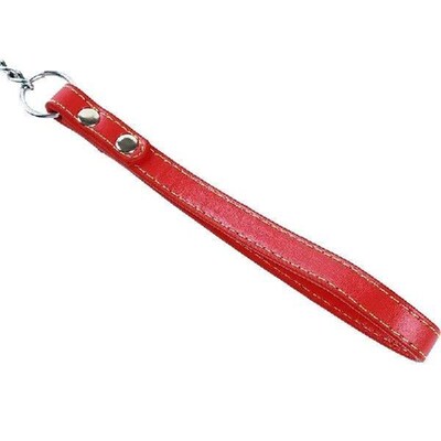 Durable Anti-Bite Metal Dog Chain Lead For Small Medium
