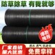 防草布地布打孔草果树遮草切片地膜盖草地布除草布防草农用除草布