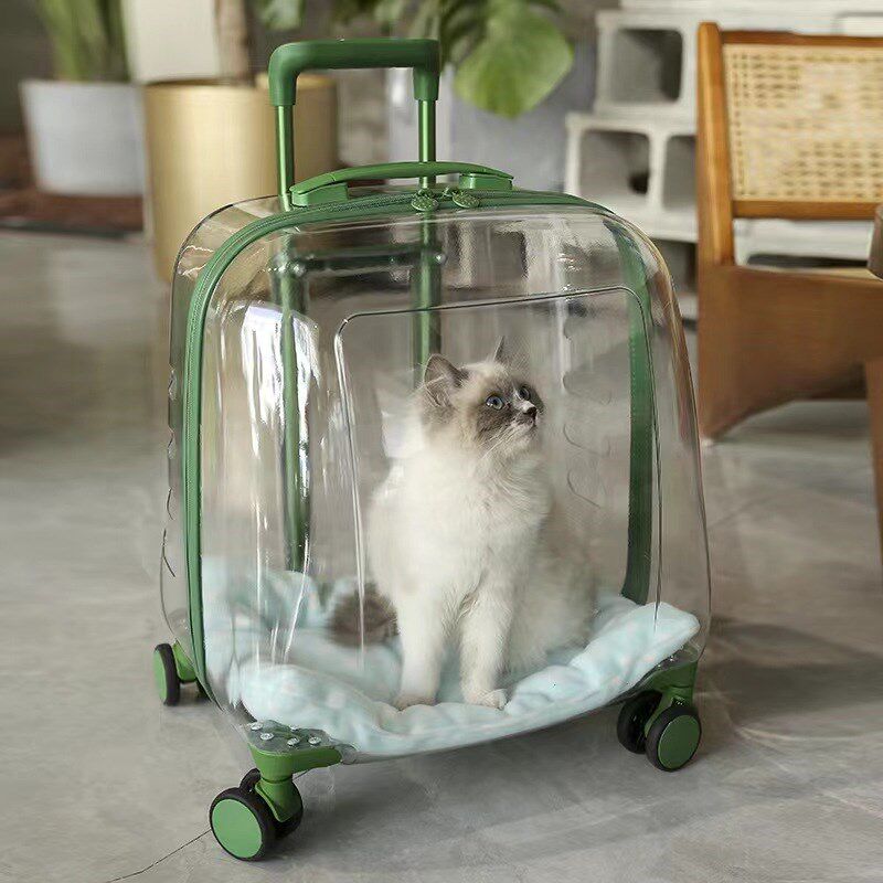 猫咪外出拉杆箱小狗狗太空舱透明便携背包春夏季大容量猫包宠物包
