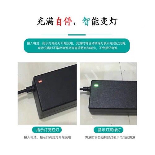 双轮带线平衡电源36v阿尔郎适配三孔车42V插头龙吟通用电动充电器