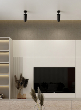 led明装射灯可调角度单个创意家用背景墙吸顶式聚光照画金色射灯