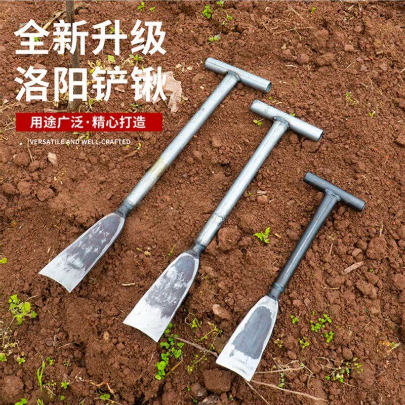 锰钢挖树铲挖藕锹洛阳铲子起苗树根挖沟坑洞神器挖土专用挖笋工具