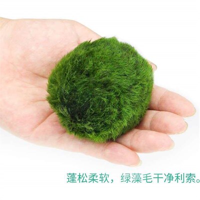 2-3cm Moss Balls Live Aquarium Plants Algae Fish Shrimp Tank