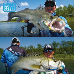 蓝旗鱼新款诡道软尾颤游VIB远投翘嘴鲈鱼鳜鱼路亚饵海钓黑坑假饵