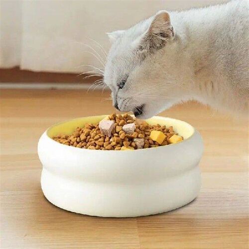Cat Bowls Ceramic Cat Water Bowl Dog Food Dish Microwave
