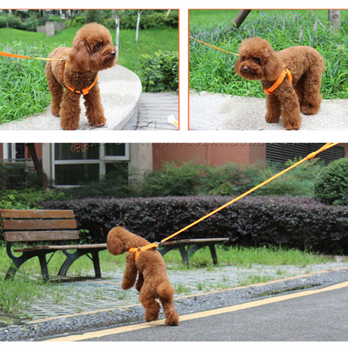 Nylon Pet Safety LED Harness Dog Product Flashing Light Harn