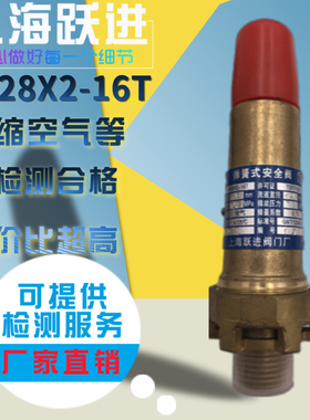 上海跃进原厂油气分离器AK28X/AK28X2/A28HP-16T空气压缩机安全阀