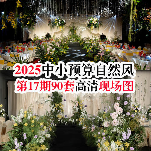 2025新款热门万元自然风中低端韩式布艺高清婚礼婚庆宣传图片