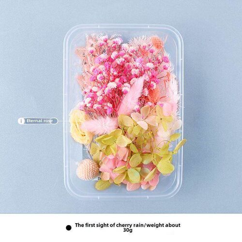 200pc Real Dried Flowers For DIY Art Craft Epoxy Resin Candl