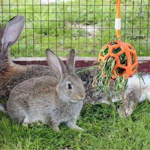 Bunny Hay Feeder 4 Pieces Hay Balls For Rabbits Small