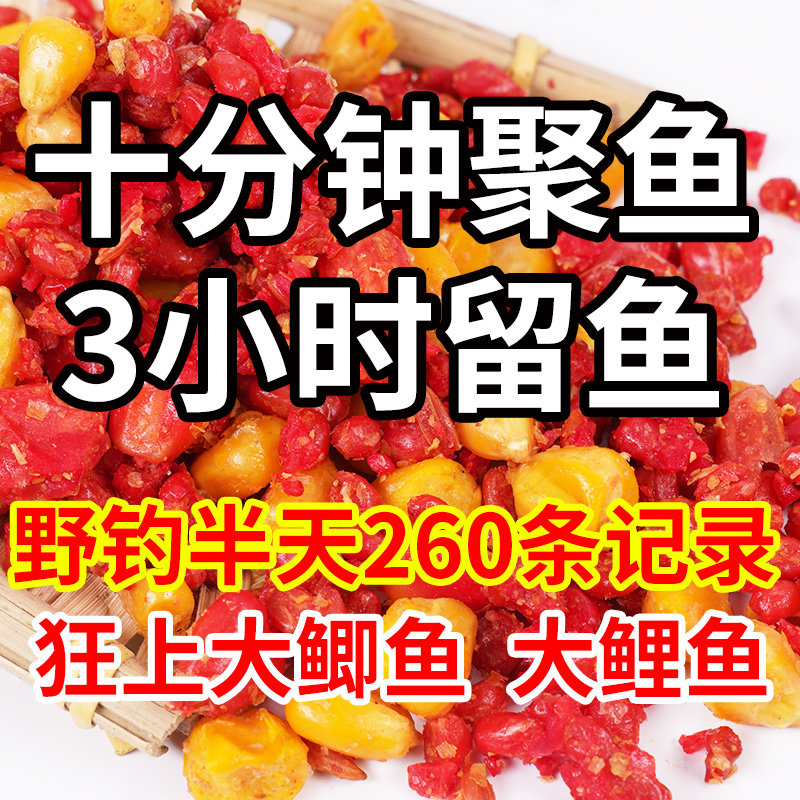 酒米打窝米亭林神窝秋冬季打鱼饵野钓底窝杂粮鲫鱼玉米谷麦鱼饵料,户外/登山/野营/旅行用品,台钓饵,淘宝优惠券,粉丝福利购,淘宝优惠卷