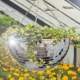 Planter Pots Basket Ball Hanging Flower Mirror Disco Rope