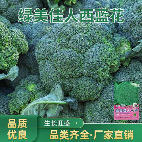 Broccoli seeds, cauliflower, cauliflower, broccoli seeds, b