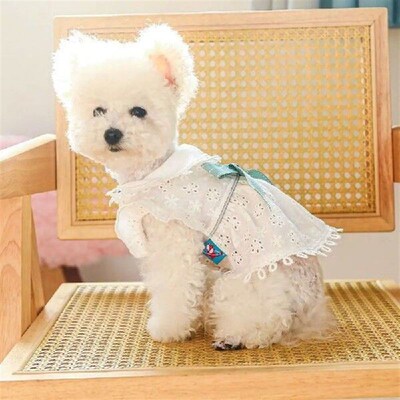 Bichon Frise White Spring Cat Dog Dress Hollow Out Soft