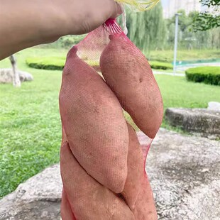 网袋子纱网网袋水果蔬菜编织网兜家禽抽绳地瓜红薯洋葱土豆小网袋