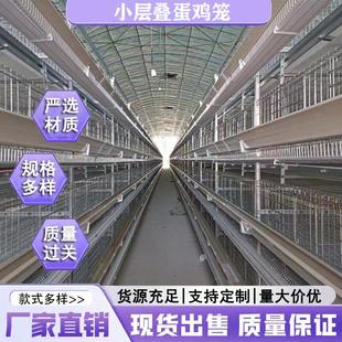 小层叠蛋鸡笼全自动化养鸡设备捡蛋清理机笼系统多层养鸡专用设备