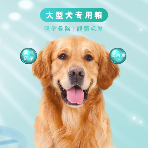 贝能星狗粮金毛拉布拉多中大型犬边牧阿拉斯加马犬通用型20斤装