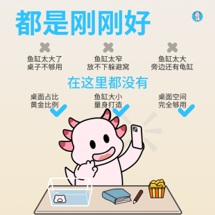 六角恐龙鱼专用缸养蝾螈的饲养鱼缸宠物小型观赏鱼生态造景躲避屋