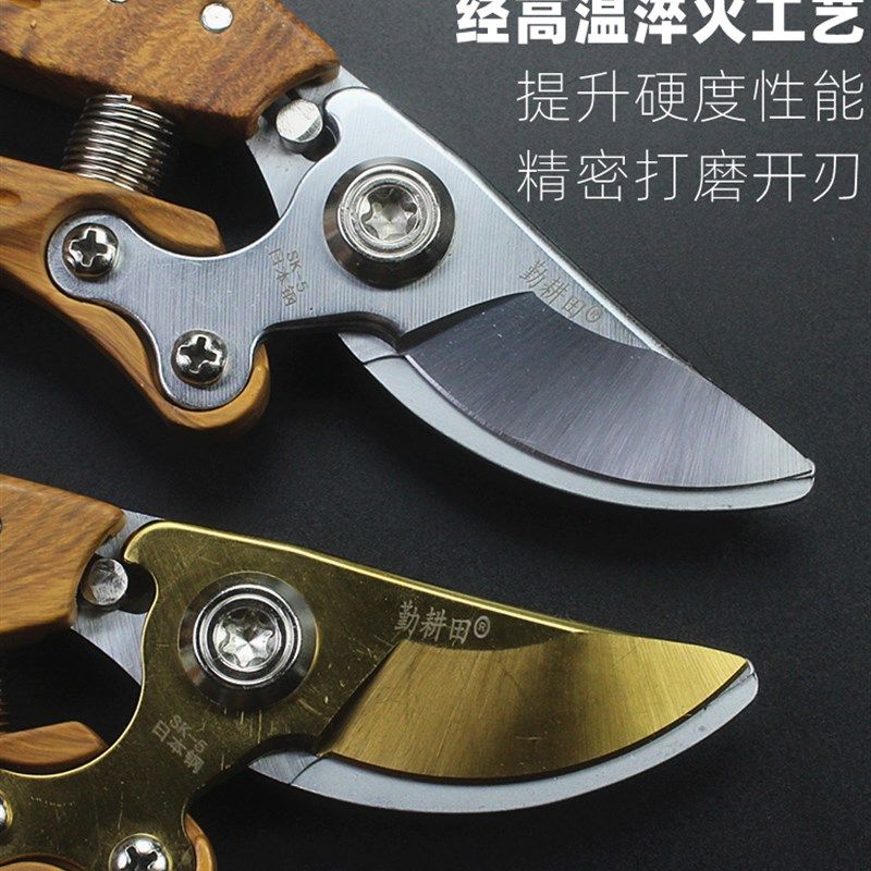勤耕田不锈钢修枝剪园林剪刀修枝剪剪树枝专用剪刀果树剪枝条剪子,居家日用,园艺刀剪,淘宝优惠券,粉丝福利购,淘宝优惠卷