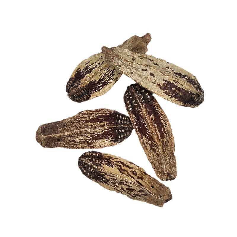 杨桃果干冻干切片牡丹玄凤虎皮鹦鹉啃咬磨嘴玩具营养饲料宠物零食