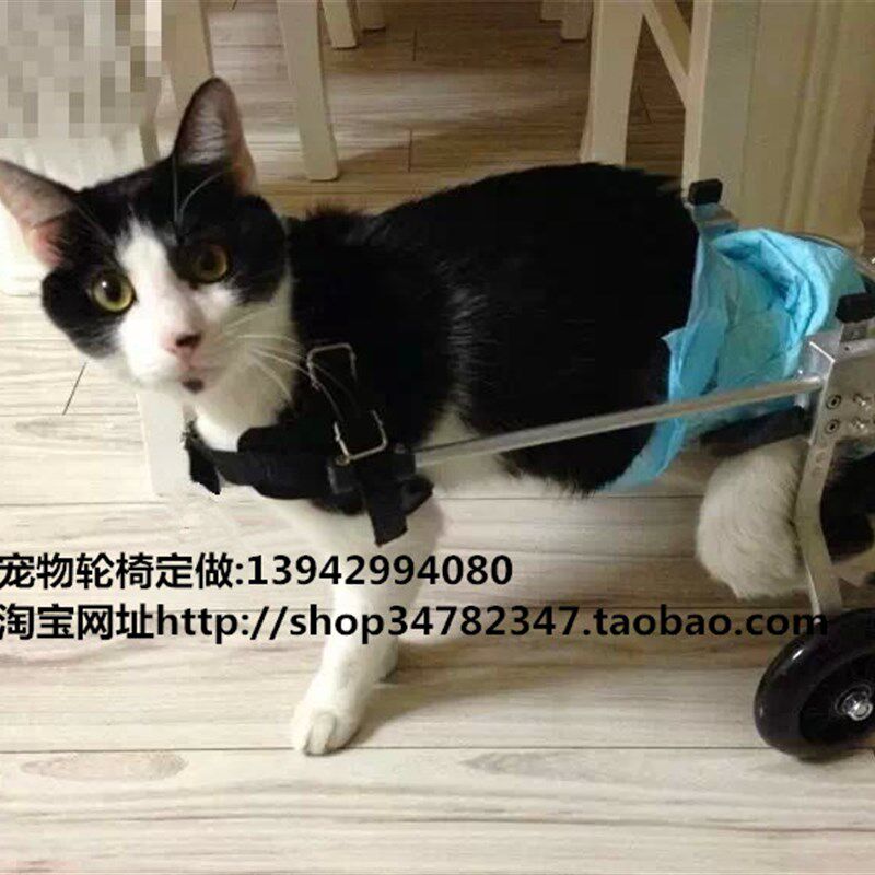 狗用轮椅代步车猫瘫痪动物轮椅残疾宠物轮椅车小型犬后肢康复轮椅